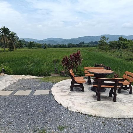 Damai D Homestay Kangar Exterior foto